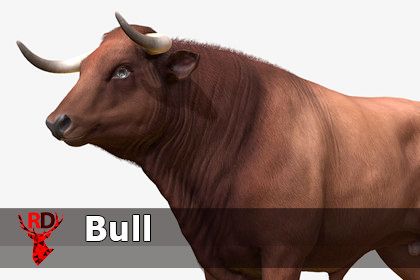 Bull realistic