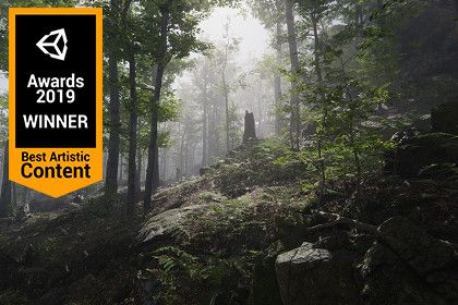 Forest Environment - Dynamic Nature