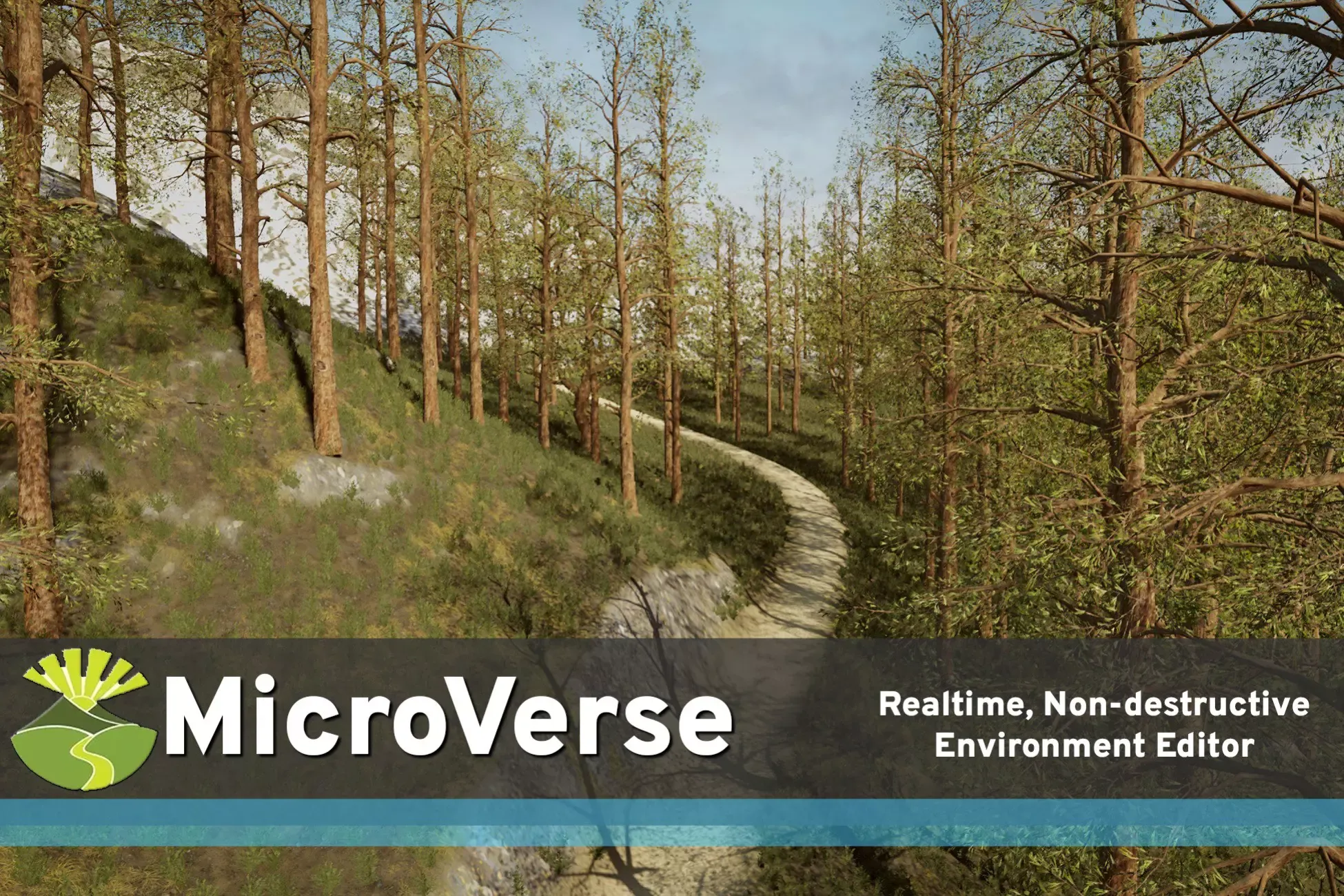 MicroVerse
